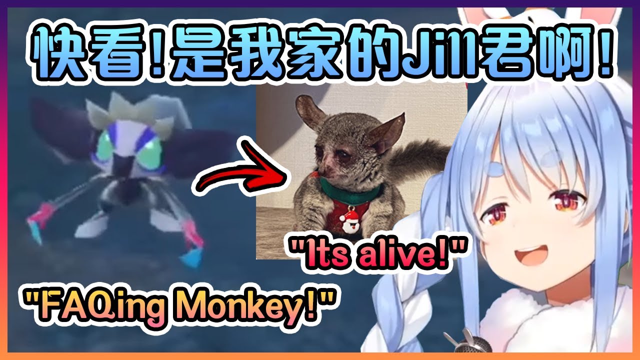 當佩克拉看到像Jill君一樣的Pokemon時海外觀眾們都異口同聲表示:"FAQing Monkey!"【Hololive中文】【兔田佩克拉】