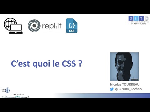 Vidéo: A quoi sert REPL ?