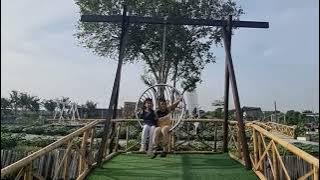 Download lagu Ladang Bunga Matahari, Bagan Datuk, Perak.