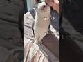 朝からしあわせ…れいちゃんと先生の休日【愛猫れいちゃん】#cat #猫 #保護猫 #shorts