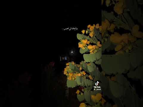 ك ـنـت أ ع ـيـب الـح ـب و م ـن ع ـاب اب ـتـل ـى 