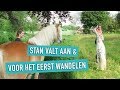 Stan VALT AAN & voor het EERST wandelen || Vlog#17