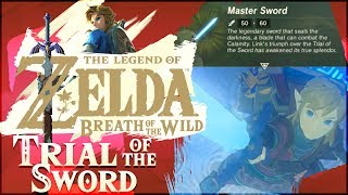 Trial of the Sword DLC 100% | The Legend of Zelda: Breath of the Wild! [ALL 45 ROOMS]