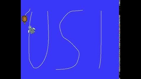 USI Angry Turtle - ROS Turtlesim Simulation