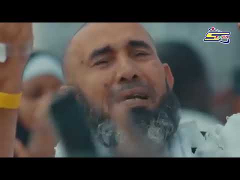 نور في الأجواء تألق هب نسيم يحمل طيبة روحي أنست قلبي حلق 