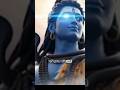 Shiva #shiva #mahadev #sanatanhindu #sanatandharma #sanatan #viral #shorts #ytshorts #yt