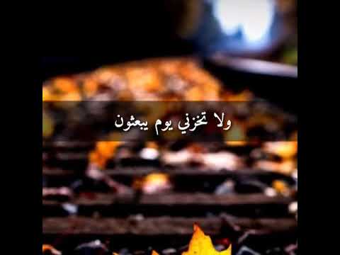 العمدة المنشاوي يوم لا ينفع مال ولا بنون