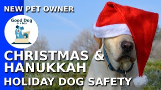 [HOLIDAY PSA]: Dog Safety for Christmas & Hanukkah | Good Dog In A Box (2019)