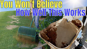 Easy way to plant grass seed