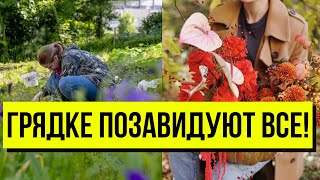 Бегом на грядку! Хозяйки будут в восторге: цветы растут всю зиму - простейший лайфхак, вот это да!