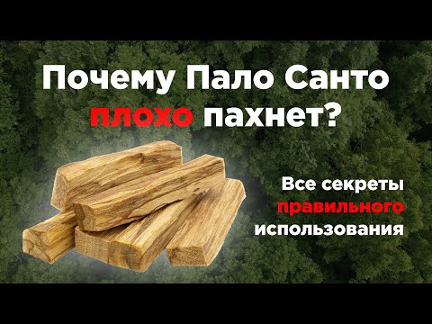 Видео: Пало Санто ба Сарнайн ус: Энэ намрын хамгийн сайхан амт