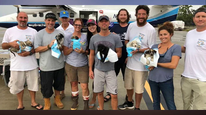 Kenny Chesney helps r escue 250 animals from Hurri...