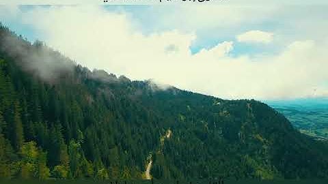 تلاوة جميلة من سورة الزخرف 💗