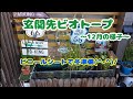 玄関先ビオトープ～12月の様子～ ビニールシートで冬支度(風避け)