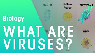 What are viruses | Cells | Biology | FuseSchool