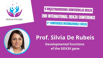 Prof. Silvia De Rubeis - Developmental functions of the DDX3X gene