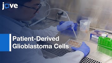 Hyaluronic-Acid Based Hydrogels: 3D Culture Of Patient-Derived Glioblastoma Cells l Protocol Preview