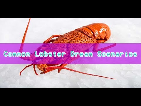 Video: Why Do Crayfish Dream