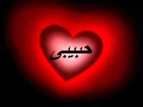 حميد الشاعرى حبيبى