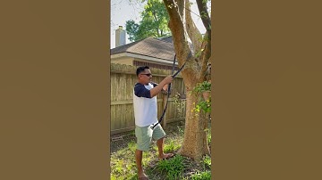 How to Hang a Hammock with Straps   #hammocks #hammocklife #tips #hammock  #hammockcamping #hammock