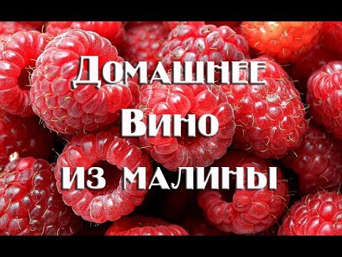 Приготовить малиновое вино в домашних условиях