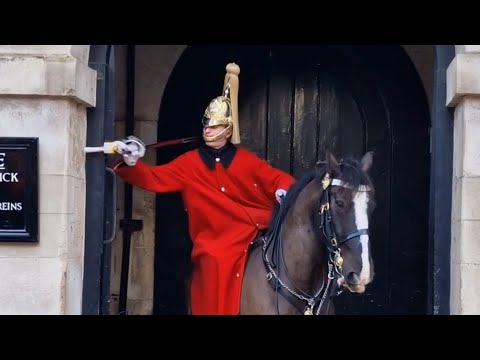Kings guard hits the button (spooked horse) #thekingsguard