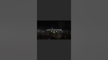 (وَقَالُوا الْحَمْدُ لِلَّهِ الَّذِي أَذْهَبَ عَنَّا الْحَزَنَ ۖ) #فلسطين_حرة#الحمد_لله #سورة_فاطر