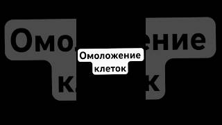 Омоложение клеток       #пищевыедобавки #floraved ищи на OZON , WB, ЯМ