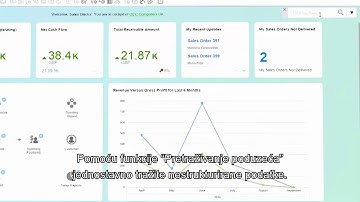 Dashboard analysis with SAP Business One powered by SAP HANA