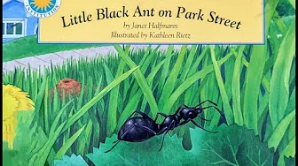 Little Black Ant On Park Street Read Aloud