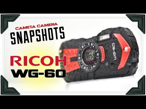 Cameta Camera SNAPSHOTS - Ricoh WG-60 Waterproof Digital Camera