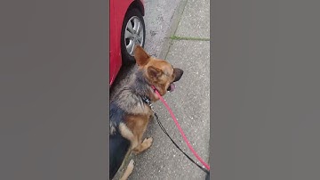 Behaviour Modification: Human Aggression