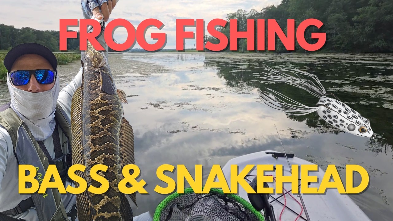 Fishing for Snakehead and Bass in heavy cover – Potomac River