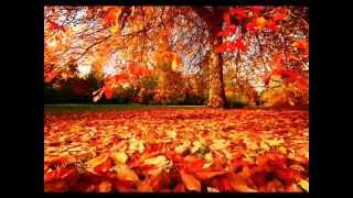 O. S. - Autumn