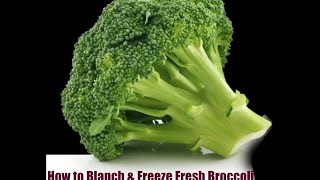 Blanching Broccoli-HOW TO TAKE FRESH BROCCOLI AND FREEZE IT.