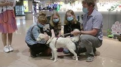 Hundeliebe Grenzenlos E V Topic Youtube