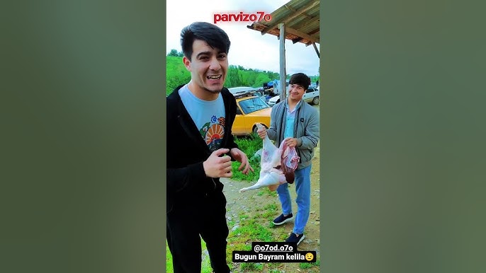 VKontakte pornosida rus onalar Mushukdagi bir shisha shampan vinosi