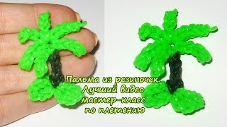 Фигурки из резиночек. Тропическая пальма. Видео мастер-класс Фигурки из резиночек. Тропическая пальма. Видео мастер-класс