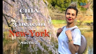 #2 Одна в США | НЬЮ-ЙОРК часть 2. СКОЛЬКО СТОИТ. Свадьба по-американски. #2 Одна в США | НЬЮ-ЙОРК часть 2. СКОЛЬКО СТОИТ. Свадьба по-американски.