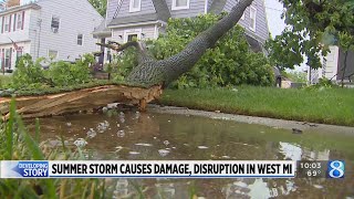 Summer storm causes damage in W MI