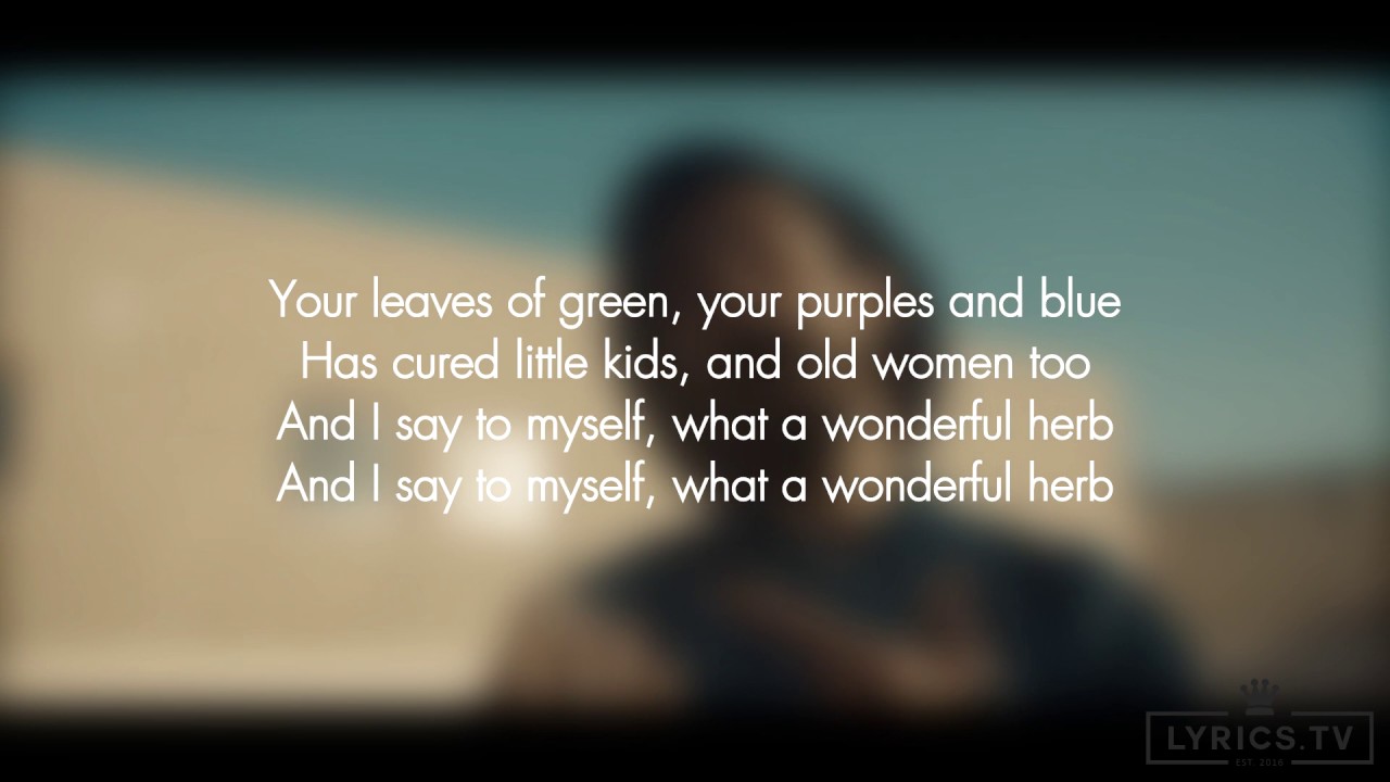 Damian Marley Lyrics