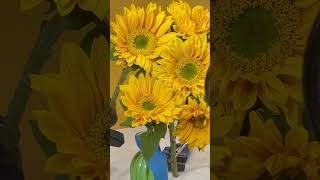 Evian Spray Creates Awesome Water Droplets For Flower And Food Photoshoots