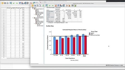 "Mastering SPSS: Guide to Navigating the Interface, Handling Variables, and Formatting Data!"
