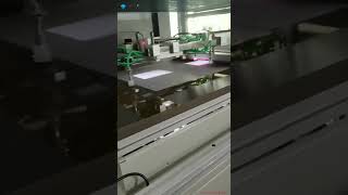 Automatic CCD vision positioning screen printer for sheet material
