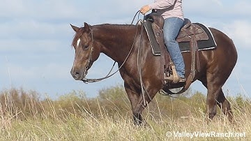 Summersweet - trail riding! -  ValleyViewRanch.net