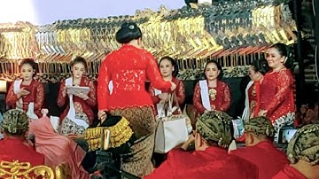 DETIK DETIK KE DATANGAN NIKEN SALINDRI MAMA LUSI BRAHMAN SENYUM MNIS SAMBUTNYA KOTA MZ AKBARSYAHALAM