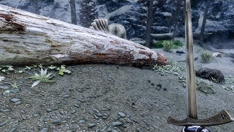 Showcase - The Skyrim SE 2021 Next Gen Graphics Tutorial!