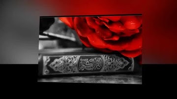 سورة الانفال (ابراهيم الجبرين )