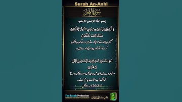 Surah Al-Nahl Ayat-20-21 سورة النحل #urdutranslation #shotrs #alquran #islamicproductions