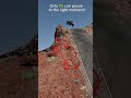 Can You Do It?🤔 #automobile #foryou #beamngdrive #challenge #gaming #shorts #subscribe